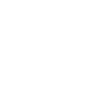Formula 1
